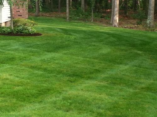 Guzie Landscaping